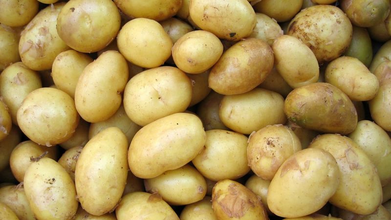 Aardappelen streekproducten 1 800x450