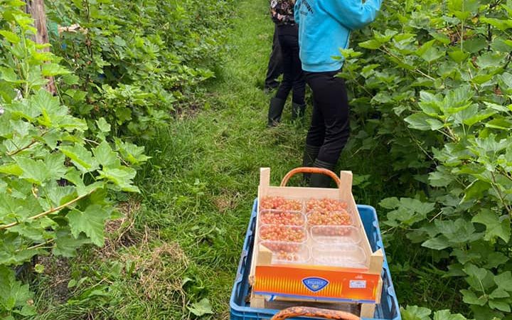 Biologische winkel 25.3 720x450