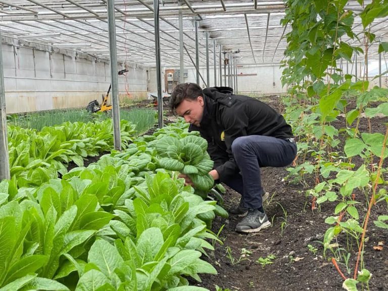 Biologische winkel 30.3 768x576