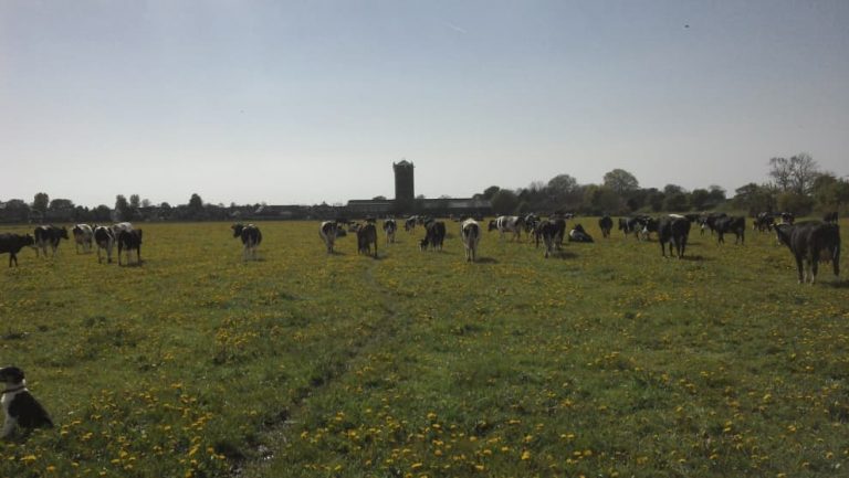 Biologische winkel 37.1 768x433