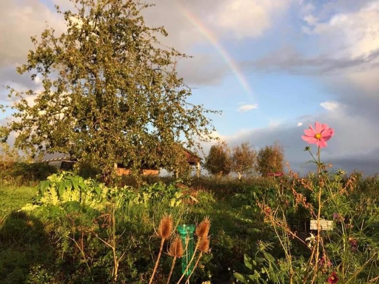 Biologische winkel 42.1 768x576