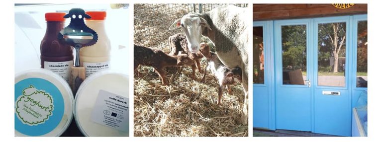 Biologische winkel 43.3 768x286