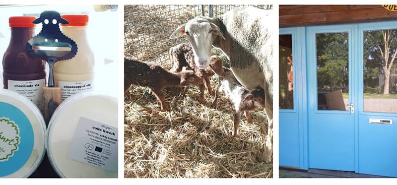 Biologische winkel 43.3 800x373