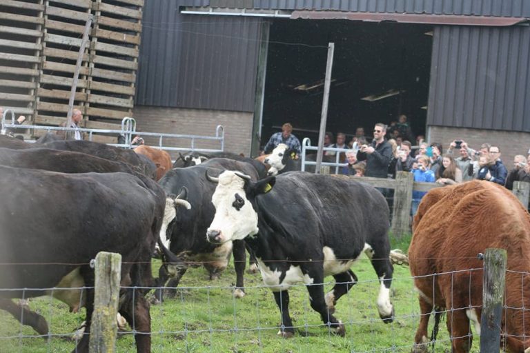 Biologische winkel 8.2 768x512