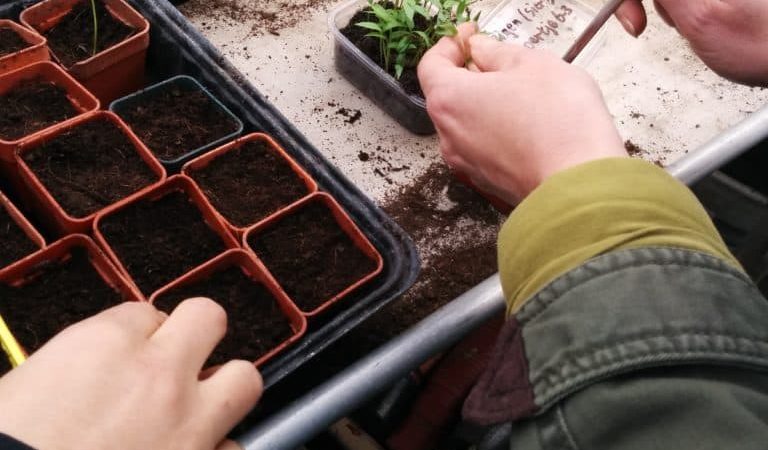 Biologische winkel 9.3 768x450