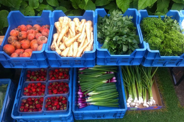 Groente osdorp streekproducten 768x512