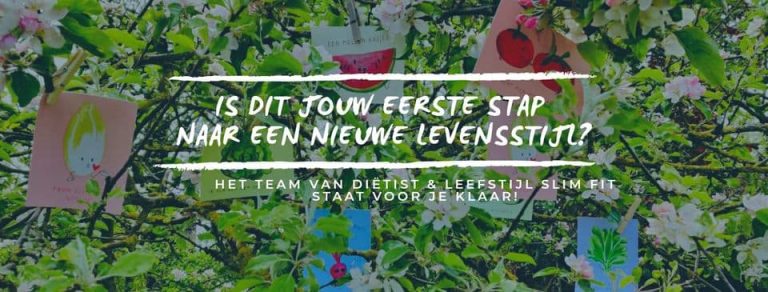 Dietist Leefstijl Slim Fit 1 3 768x292
