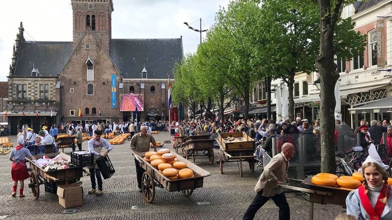 Overzicht van de kaasmarkt Alkmaar