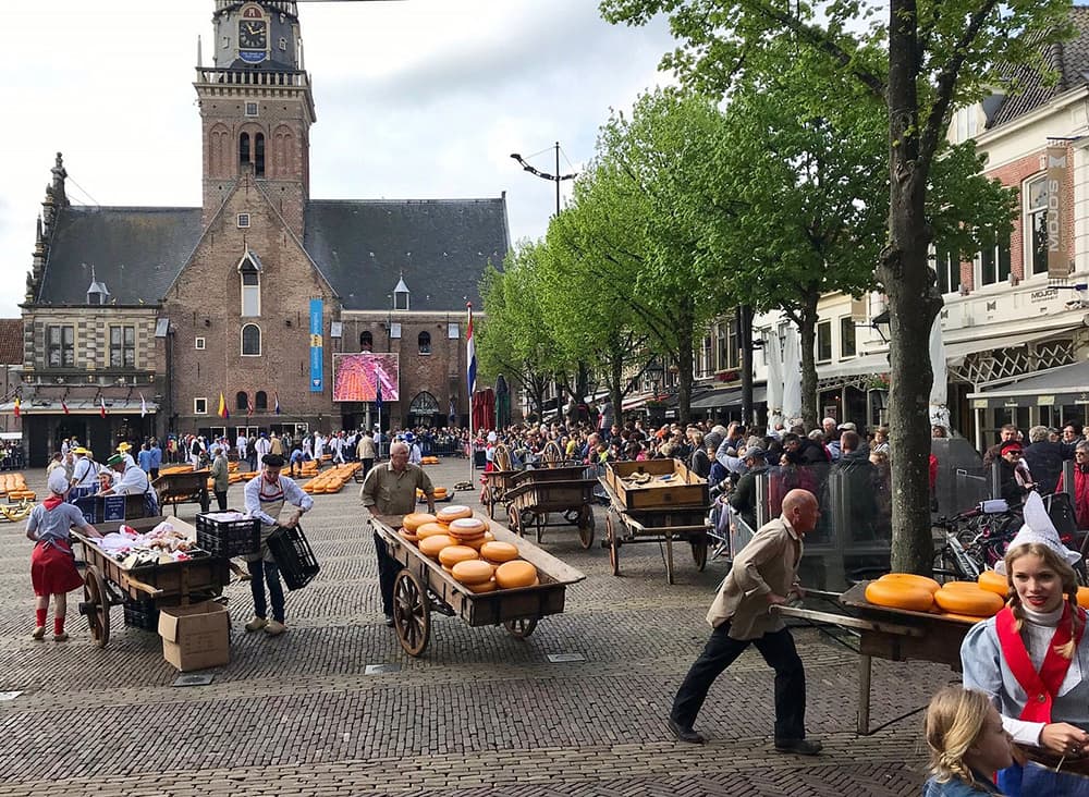 Overzicht van de markt Alkmaar