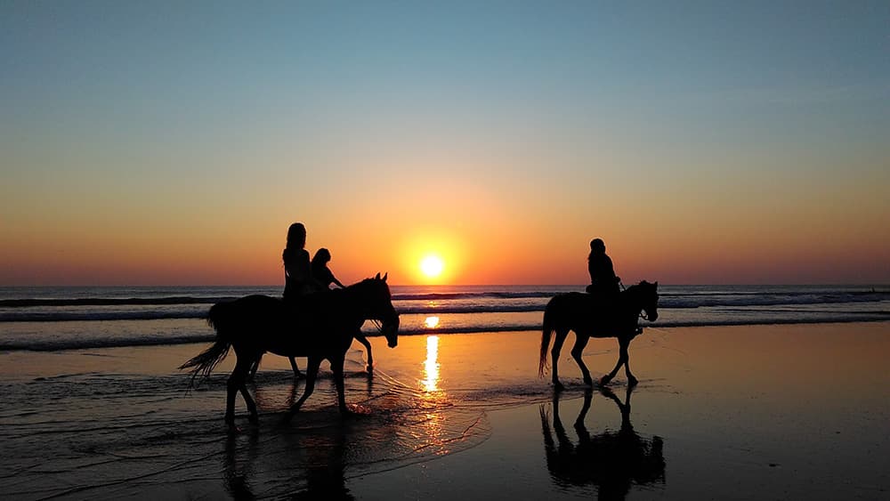 Paardrijden op het strand in Noord-Holland