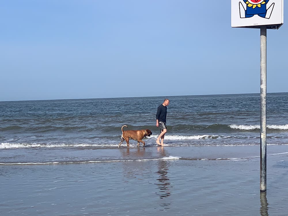 Met de hond op het strand
