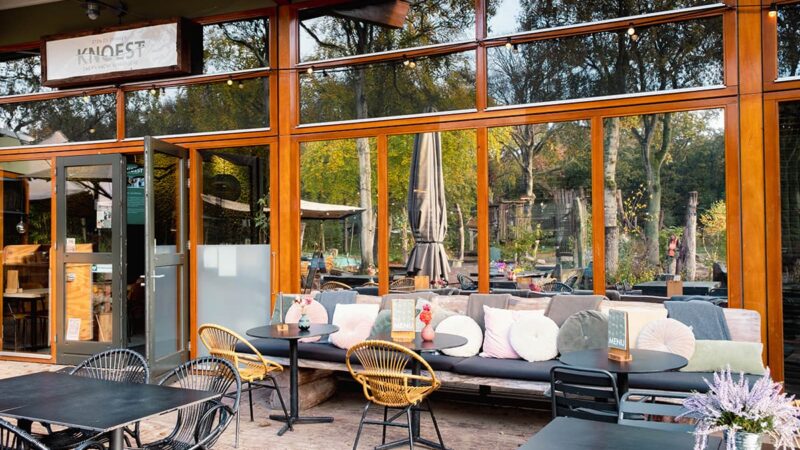 Knoest Castricum 800x450