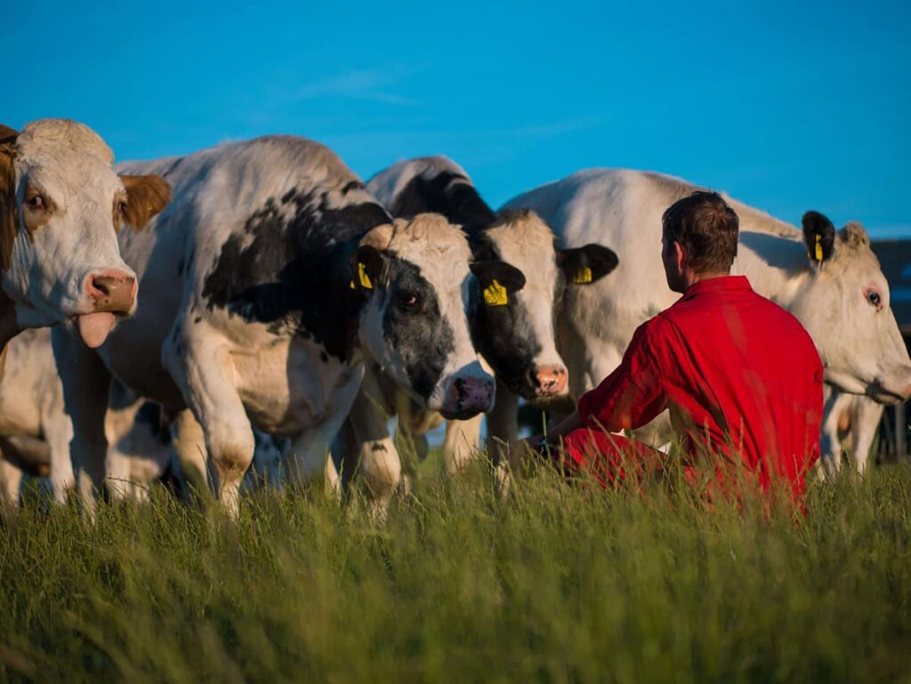 Boer Joep verkoopt rundvlees